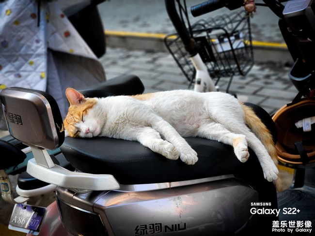 《白日做夢(mèng)》