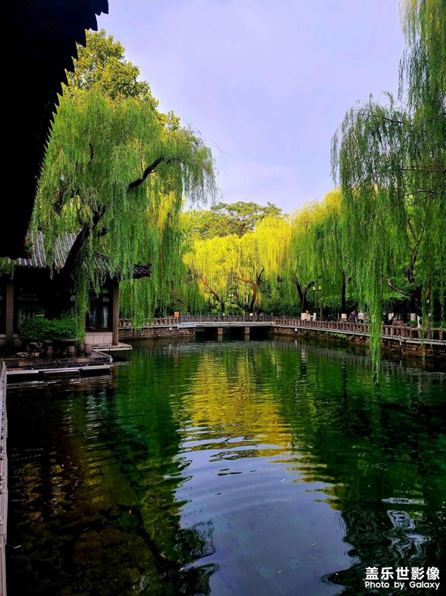 今日濟南趵突泉