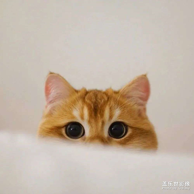 我終于靠自己的能力買了一輛車！