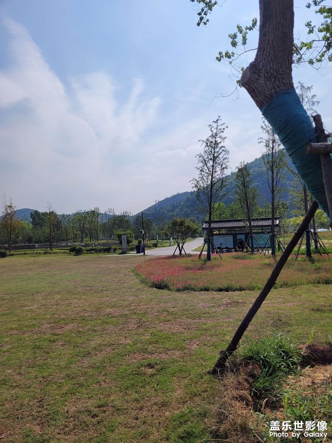 發(fā)個(gè)照片