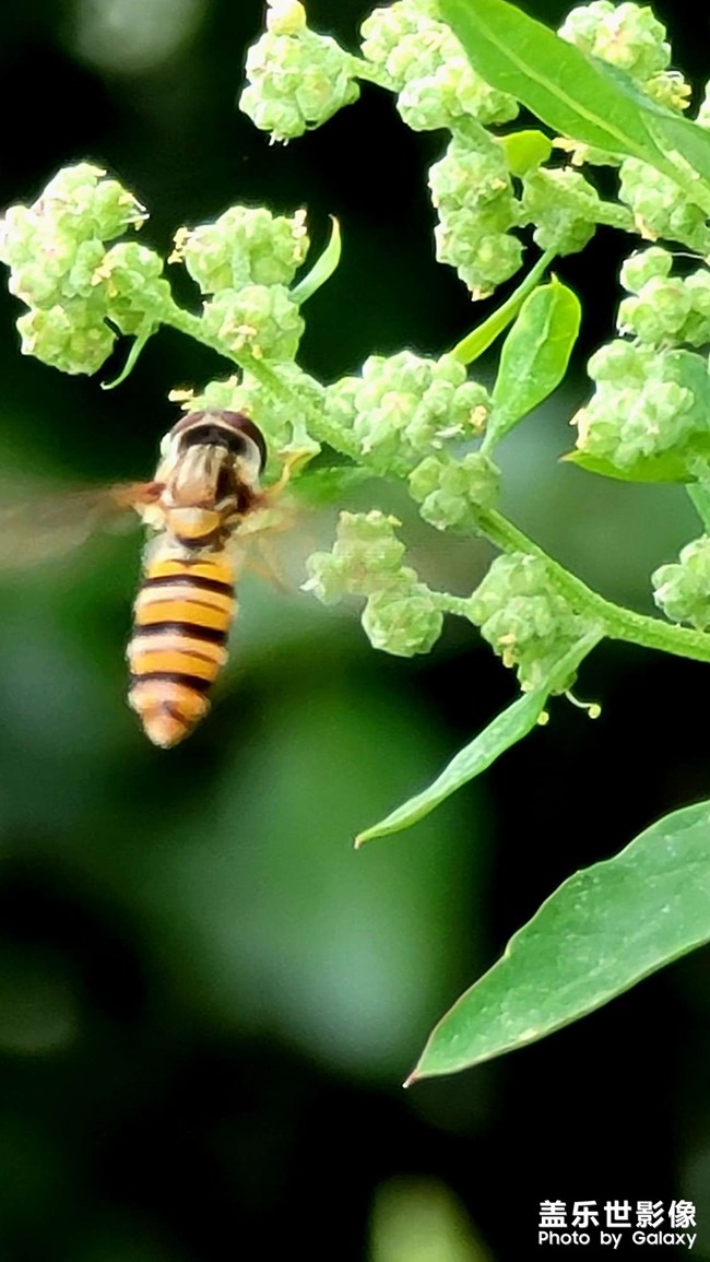 發(fā)個圖片賺星鉆
