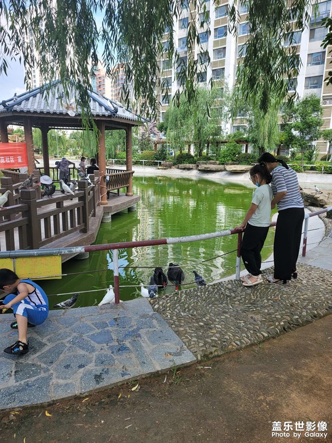 小區(qū)的寵愛(ài)