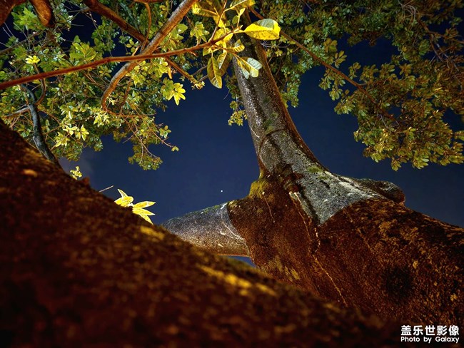 成都的凌晨四點(diǎn)