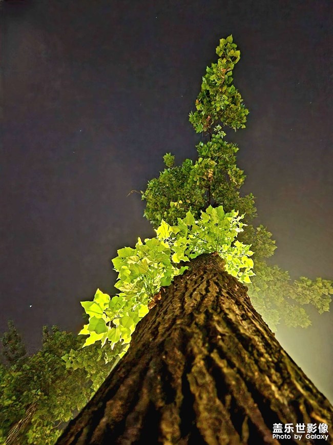 成都的凌晨四點(diǎn)