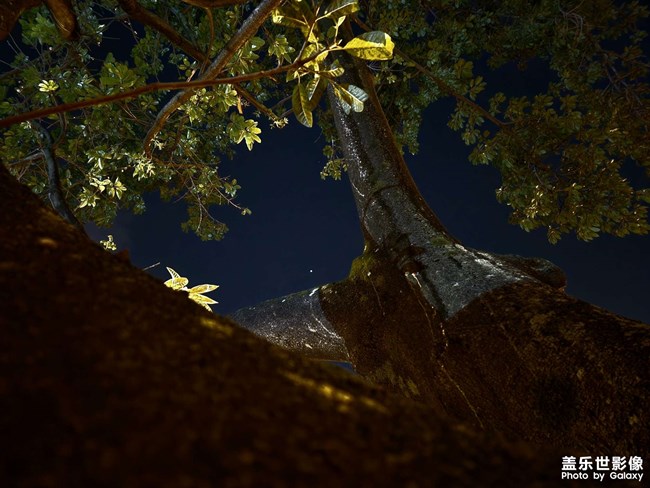 成都的凌晨四點(diǎn)