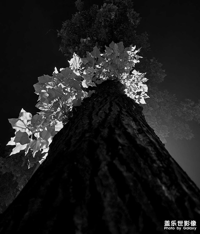 成都的凌晨四點(diǎn)