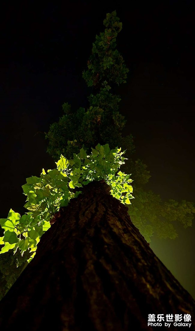 成都的凌晨四點(diǎn)