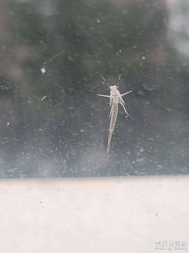 單身久了看啥都眉清目秀的