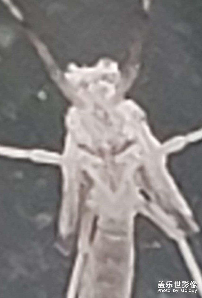 單身久了看啥都眉清目秀的