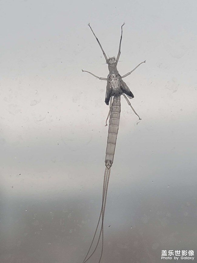 單身久了看啥都眉清目秀的