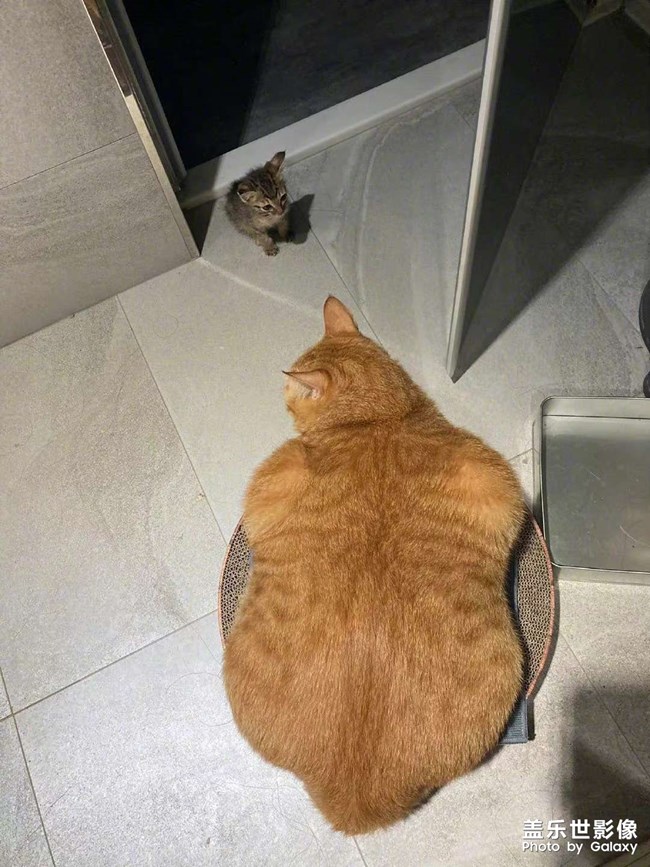 步兵vs坦克！