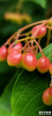 【帶著手機(jī)去旅行】+靜物