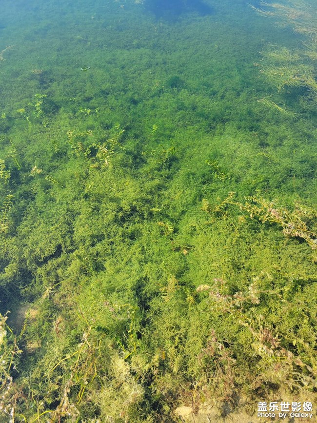 當(dāng)你看到這個(gè)照片的時(shí)候，說(shuō)明還出去轉(zhuǎn)轉(zhuǎn)了