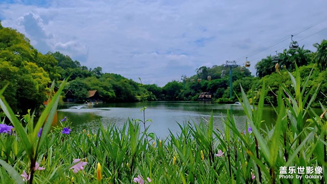 廣州長(zhǎng)隆動(dòng)物世界