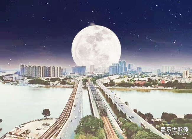 花開富貴與花都之夜