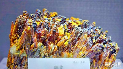 【與美好相逢】+礦產(chǎn)奇珍