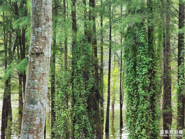 希望能走出分手的陰霾
