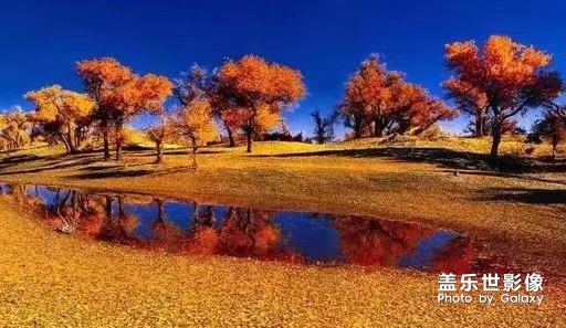 秋風(fēng)。。。