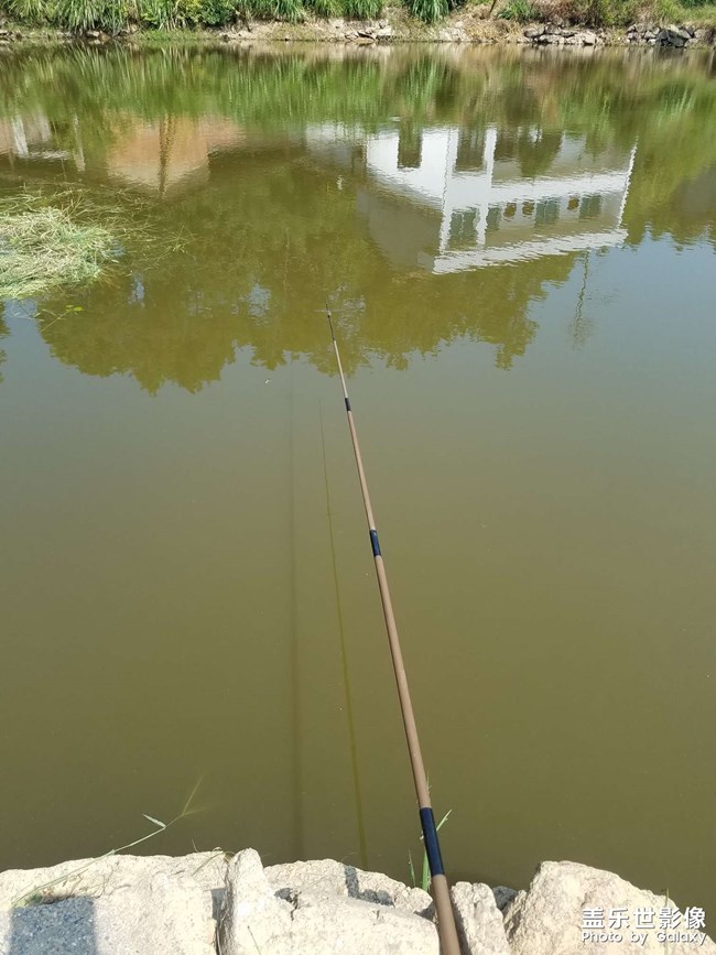 【你眼里的風景】 閑釣