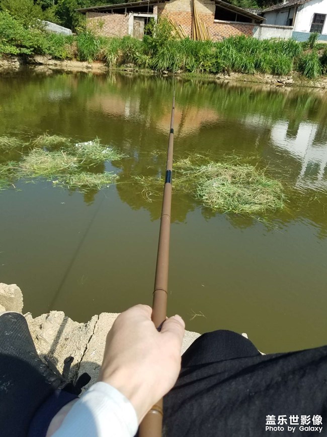 【你眼里的風景】 閑釣