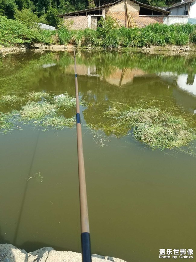 【你眼里的風景】 閑釣