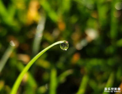 【秋意正濃】秋深露重