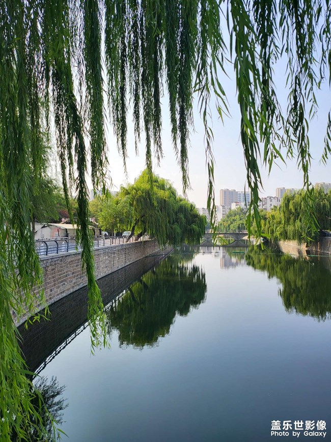 柳樹(shù)是不是太敬業(yè)，這已經(jīng)是深秋了啊