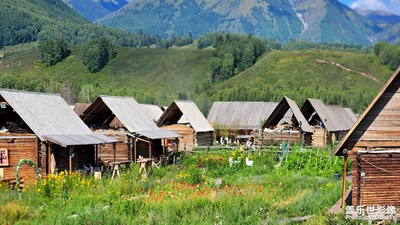 【好風光】+新疆·禾木之夏