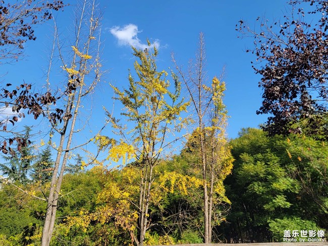 門前有風(fēng)景