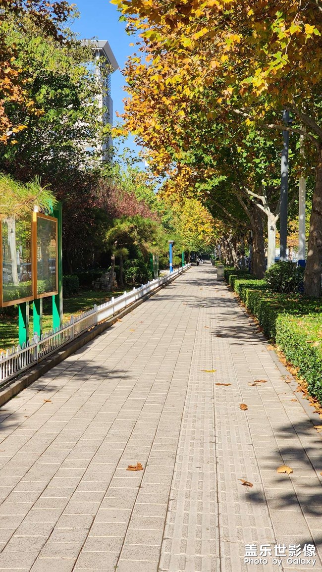 天氣超好，繼續(xù)喂喵~