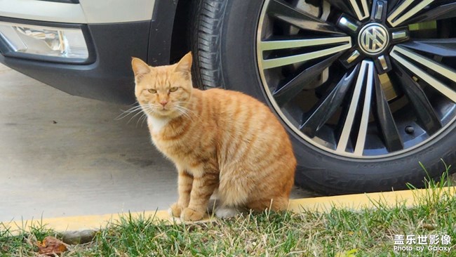 昨天中午吃飯晚，回去他們已經(jīng)不在路上了，今天多發(fā)幾張