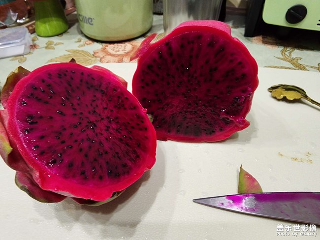 隨手拍
