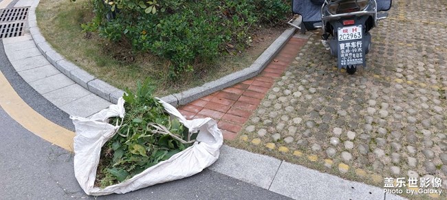 小區(qū)綠化清理