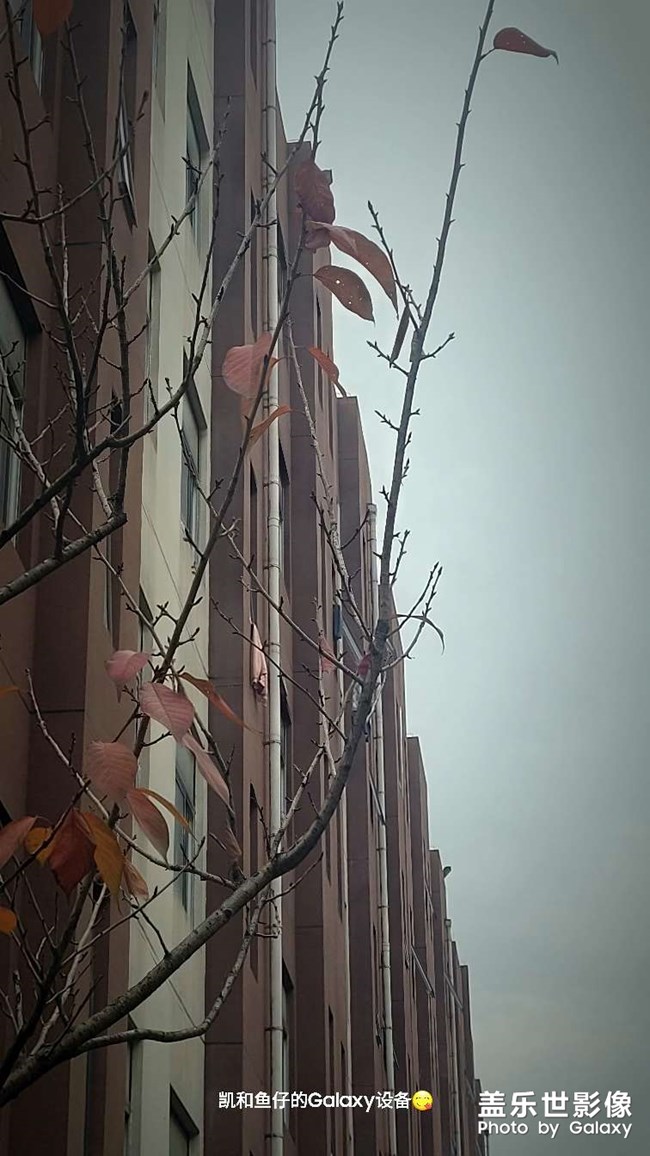 升級one ui 5后有水印啦