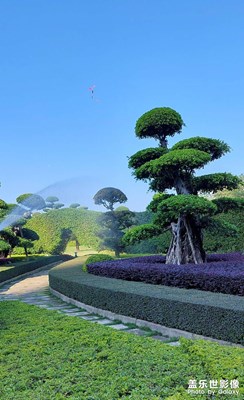 【光影記憶】園林隨拍