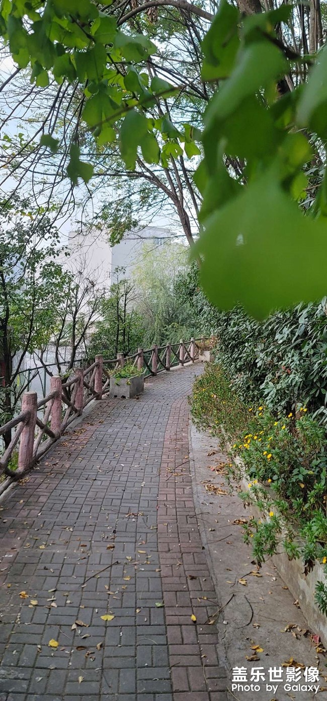 羊了的來報個名