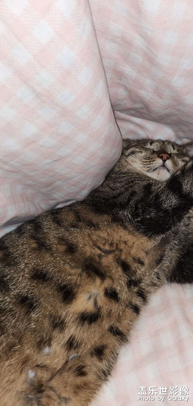 新款恒溫暖腳寶