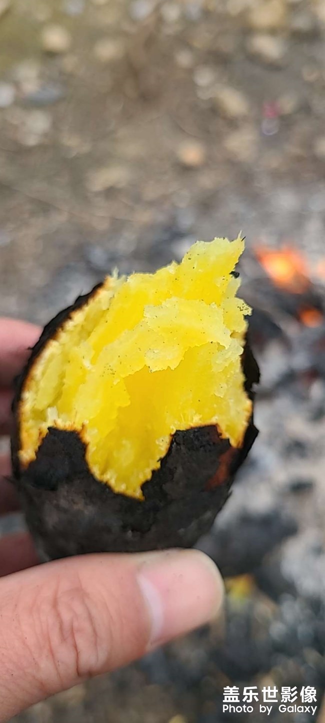 無聊的冷。。