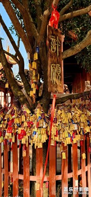 崇文尚德，萬(wàn)世師表，星耀拍攝！