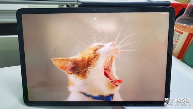 求救！三星自帶的動態(tài)屏保圖片像極了我小時候的時候故去的貓