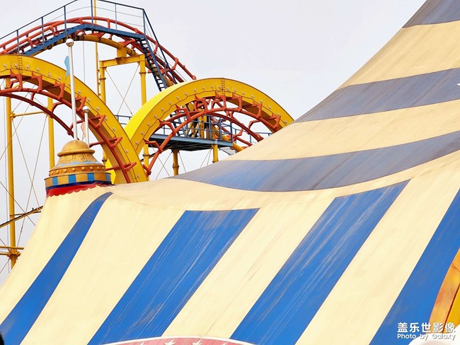 動(dòng)物園里有動(dòng)物