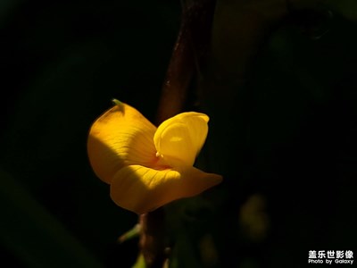 【光影記事】一組小品