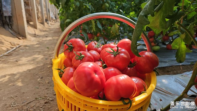 逛吃逛吃逛吃買買買模式到了