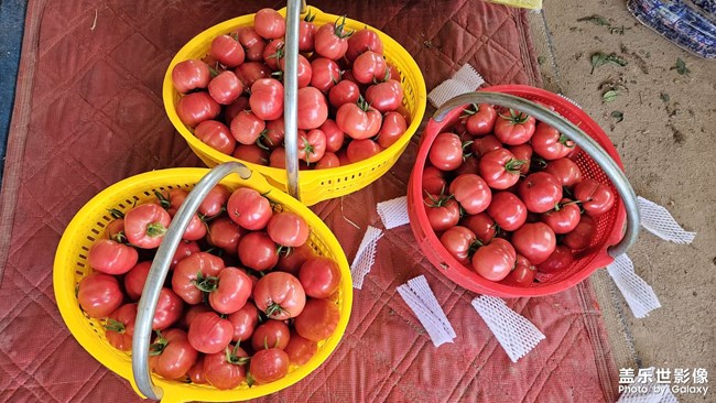 逛吃逛吃逛吃買買買模式到了