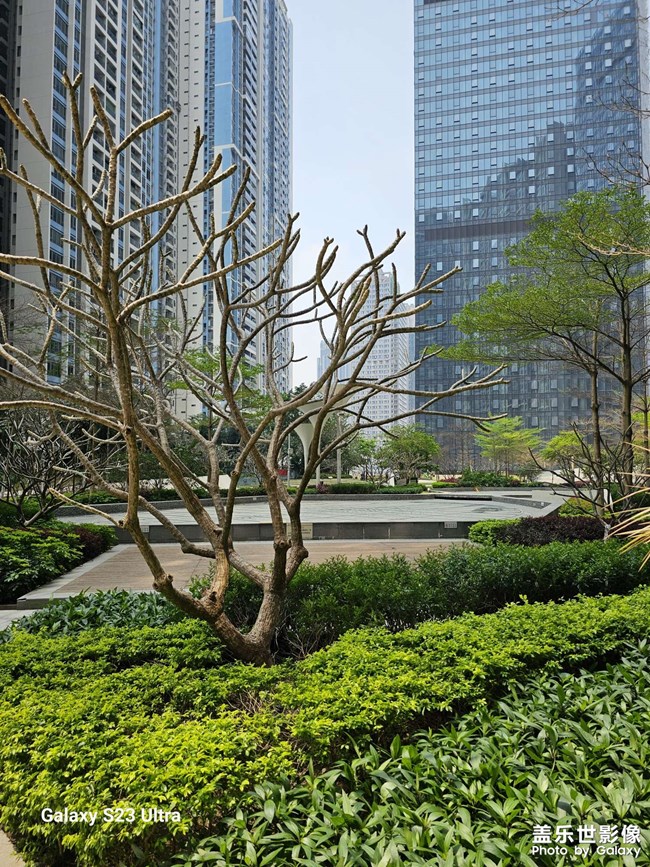 s23ultra 普通拍照比2億拍照色彩討喜很多……