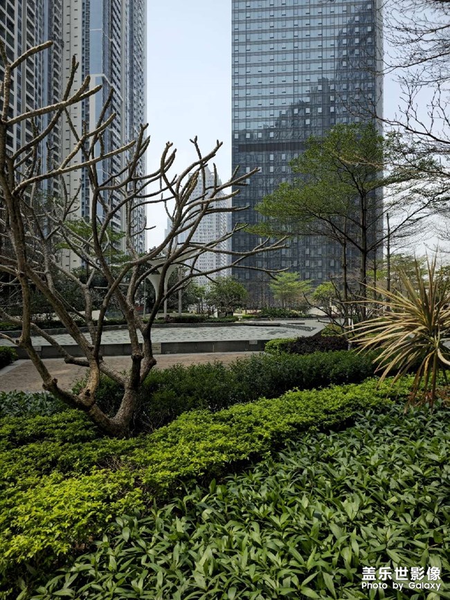 s23ultra 普通拍照比2億拍照色彩討喜很多……