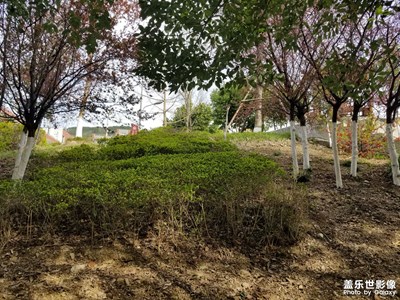 【生活的色彩】+春天的色彩