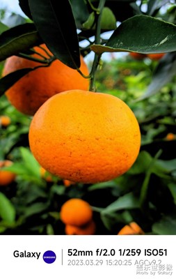 【美好時光】+遇見歡樂