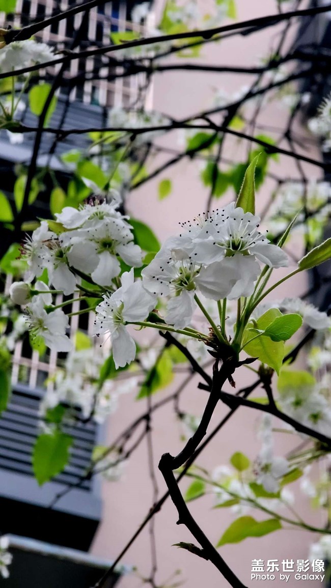 我是來水回復的 謝謝