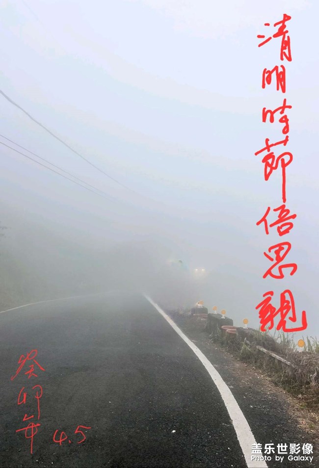 清明時節(jié)倍思親